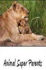 Watch Animal Super Parents Zoechip