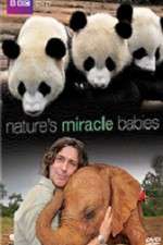Watch Natures Miracle Babies Zoechip