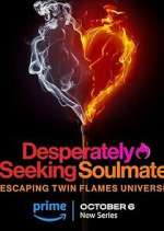 Watch Desperately Seeking Soulmate: Escaping Twin Flames Universe Zoechip
