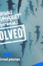 Watch Nature\'s Strangest Mysteries: Solved Zoechip