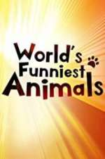 Watch The World\'s Funniest Animals Zoechip