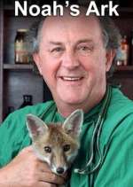 Watch Noah's Ark Zoechip