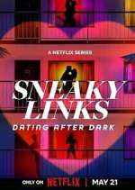 Watch Sneaky Links: Dating After Dark Zoechip
