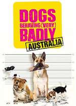 Watch Dogs Behaving (Very) Badly Australia Zoechip