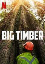 Watch Big Timber Zoechip