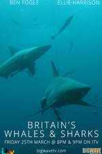 Watch Britain's Whales and Sharks Zoechip