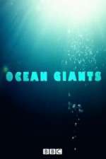 Watch Ocean Giants Zoechip