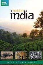 Watch Hidden India Zoechip