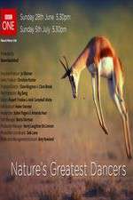 Watch Nature's Greatest Dancers Zoechip