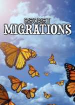 Watch Secret Migrations Zoechip