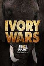Watch Ivory Wars Zoechip