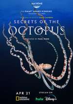 Watch Secrets of the Octopus Zoechip