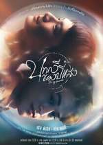 Watch Be My Favorite Zoechip