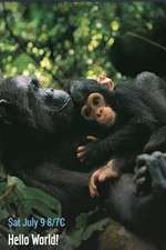 Watch Hello World! Zoechip