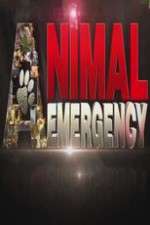 Watch Animal Emergency Zoechip