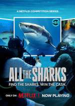 Watch All the Sharks Zoechip