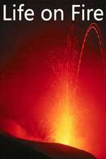Watch Life on Fire Zoechip