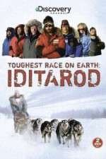 Watch Iditarod Zoechip