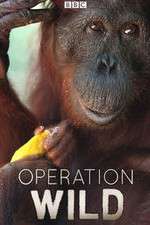 Watch Operation Wild Zoechip