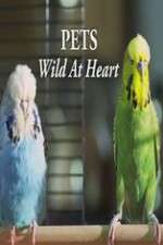 Watch Pets - Wild at Heart Zoechip