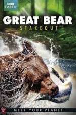 Watch Great Bear Stakeout Zoechip