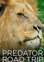 Watch Predator Road Trip Zoechip