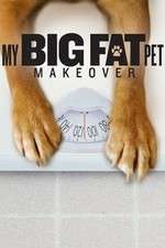 Watch My Big Fat Pet Makeover Zoechip