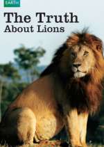 Watch The Truth About Lions Zoechip