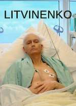 Watch Litvinenko Zoechip
