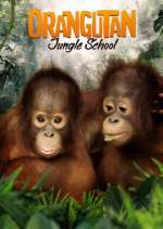 Watch Orangutan Jungle School Zoechip