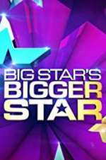 Watch Big Star\'s Bigger Star Zoechip