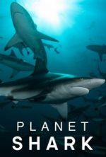 Watch Planet Shark Zoechip