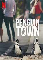 Watch Penguin Town Zoechip