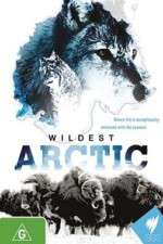 Watch Wildest Arctic Zoechip