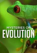 Watch Mysteries of Evolution Zoechip
