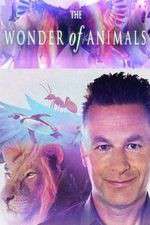 Watch The Wonder of Animals Zoechip