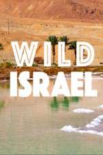 Watch Wild Israel Zoechip