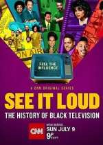 Watch See It Loud: The History of Black Television Zoechip