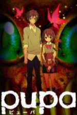 Watch Pupa Zoechip