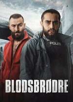 Watch BlodsbrÃ¸dre Zoechip