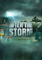 Watch After the Storm Zoechip