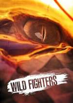 Watch Wild Fighters Zoechip