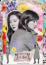 Watch Spring Turns to Spring Zoechip