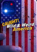 Watch Wild & Weird America Zoechip