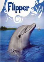 Watch Flipper Zoechip