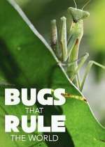 Watch Bugs that Rule the World Zoechip