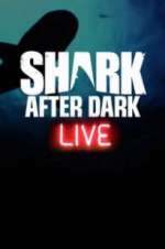 Watch Shark After Dark Zoechip