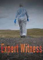 Watch Expert Witness Zoechip
