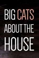 Watch Big Cats About the House Zoechip