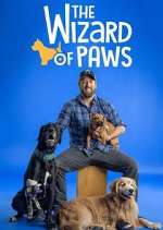 Watch The Wizard of Paws Zoechip